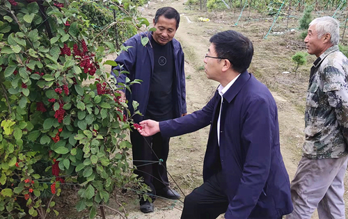 1631860208205210.jpg 1.jpg