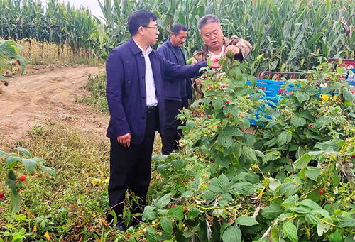 1631860238241880.jpg 2.jpg