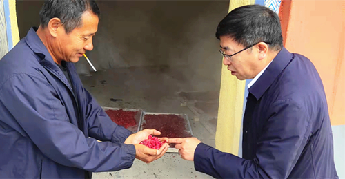 1631860249421677.jpg 3.jpg