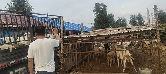 1632705230318403.jpg 微信图片_20210924112139.jpg