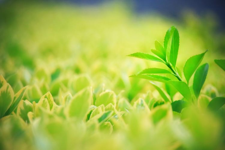 1675754368985209.jpg UXW965m71Pcs3JEyFVKPCEhd=ekC1HecT6237uSekyhbo1522320056443.jpg