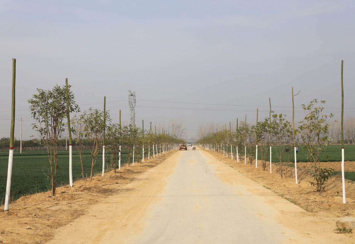 1678635119885068.jpg 3.jpg