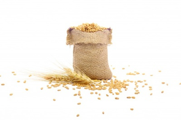 1679457636990147.jpg t01a77657d51c4a5d23.jpg