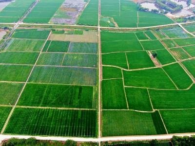 1680149788594167.jpg t0163a3ebc5dcef920c.jpg