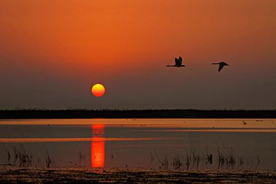 1681617702572961.jpg t0199f6446c76e5de90.jpg