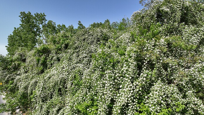 1681720020760805.jpg 1.jpg