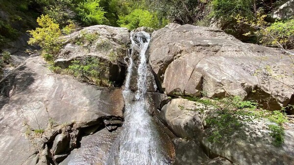 1681720100977292.jpg 2.jpg