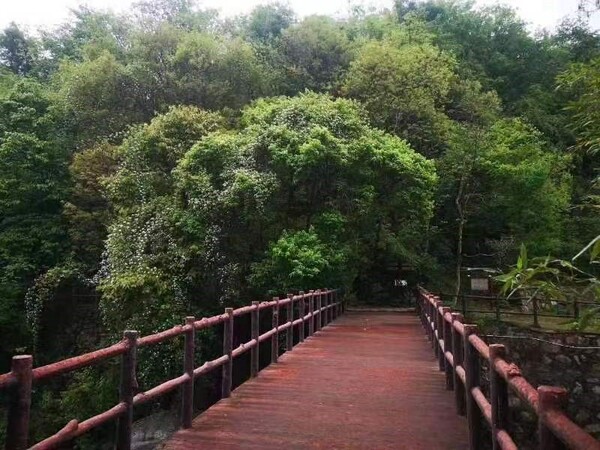 1681720117816210.jpg 3.jpg