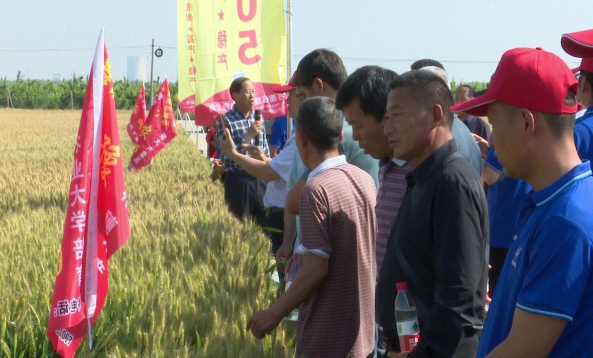 1684758575305551.jpg 1.jpg