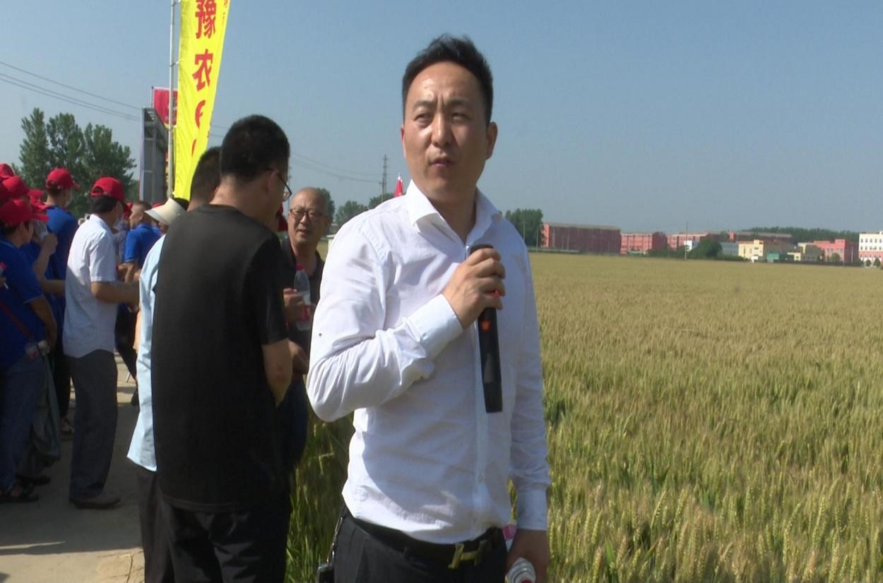 1684758599505230.jpg 3.jpg