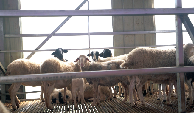 1685955597576008.png 222.png