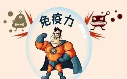 1686798490955038.jpeg 6ae6467864374f4da8cdfd71fb1be2bb.jpeg