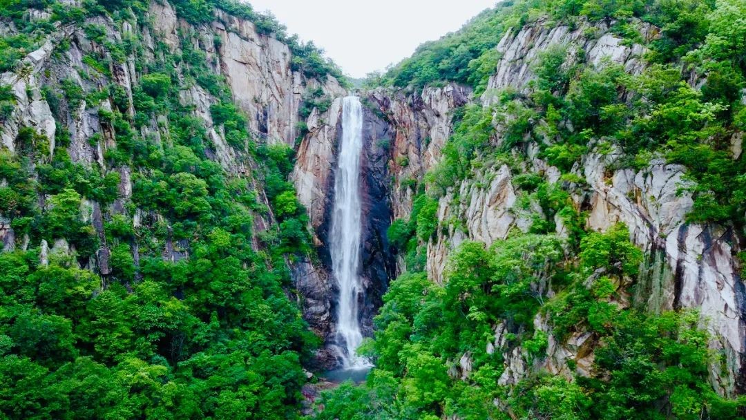 1687086026727863.jpg 1.jpg