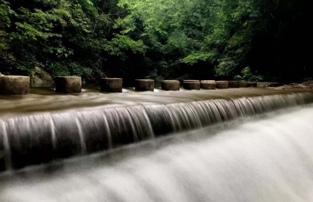 1687086176634681.jpg 8.jpg