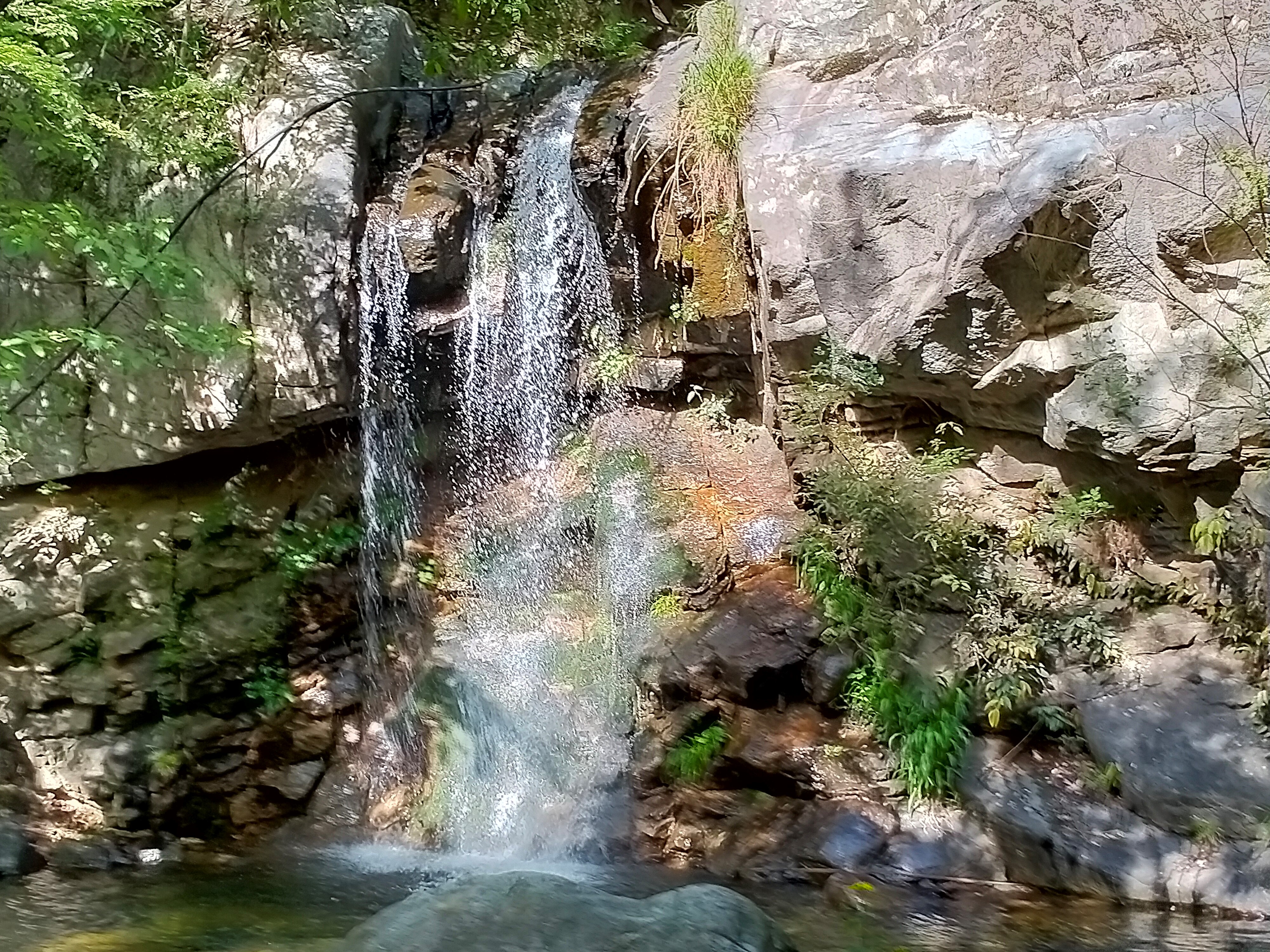 1687086206432105.jpg 9.jpg