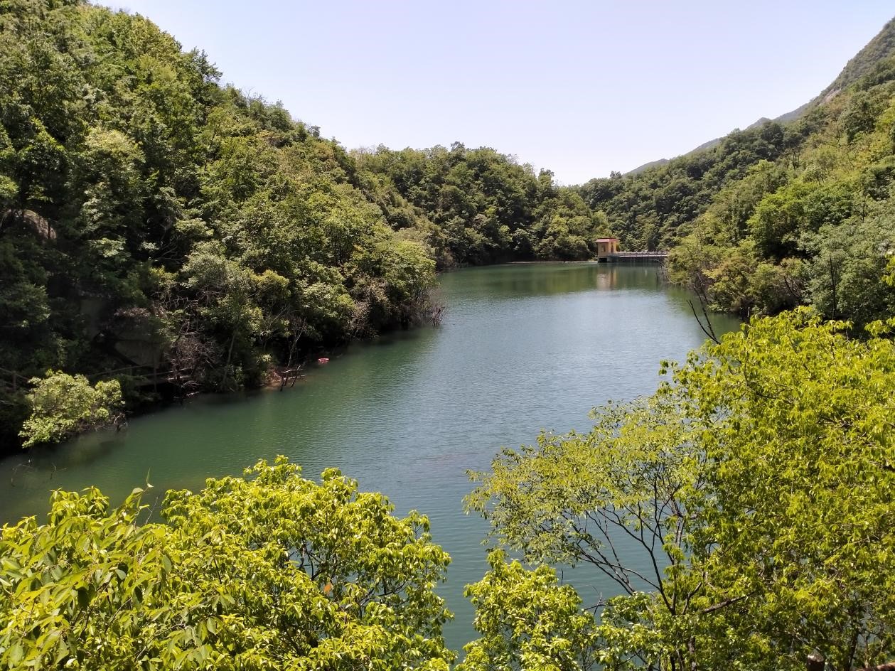 1687086232934693.jpg 10.jpg