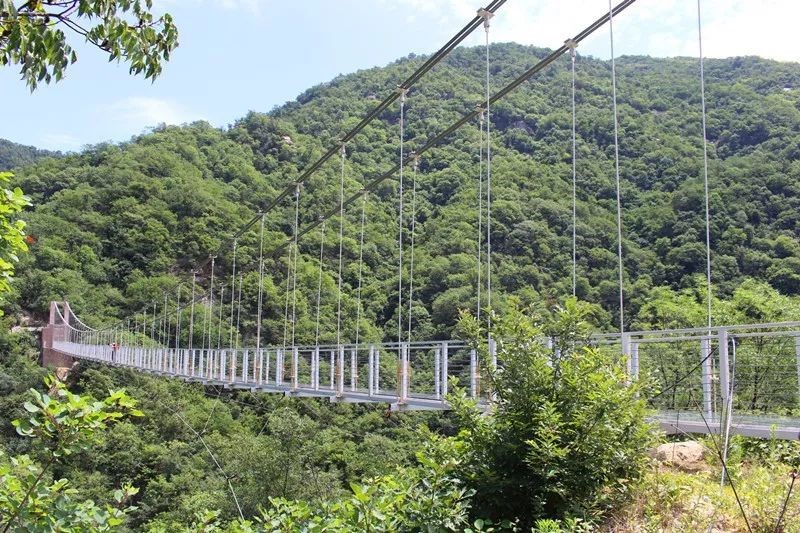 1687086313316872.jpg 13.jpg