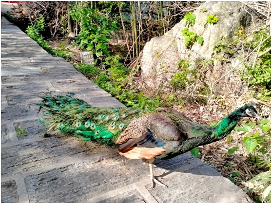 1687086363534025.jpg 15.jpg