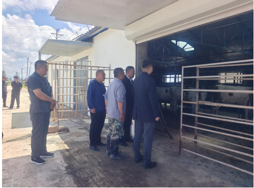 1687159094623413.jpg 1687159044697.jpg