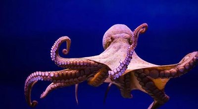 1687678835978630.jpg t03e78aabfdac6e16c1.jpg