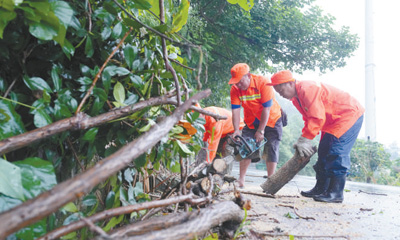 1690243733274123.jpg 1690230645857_1.jpg