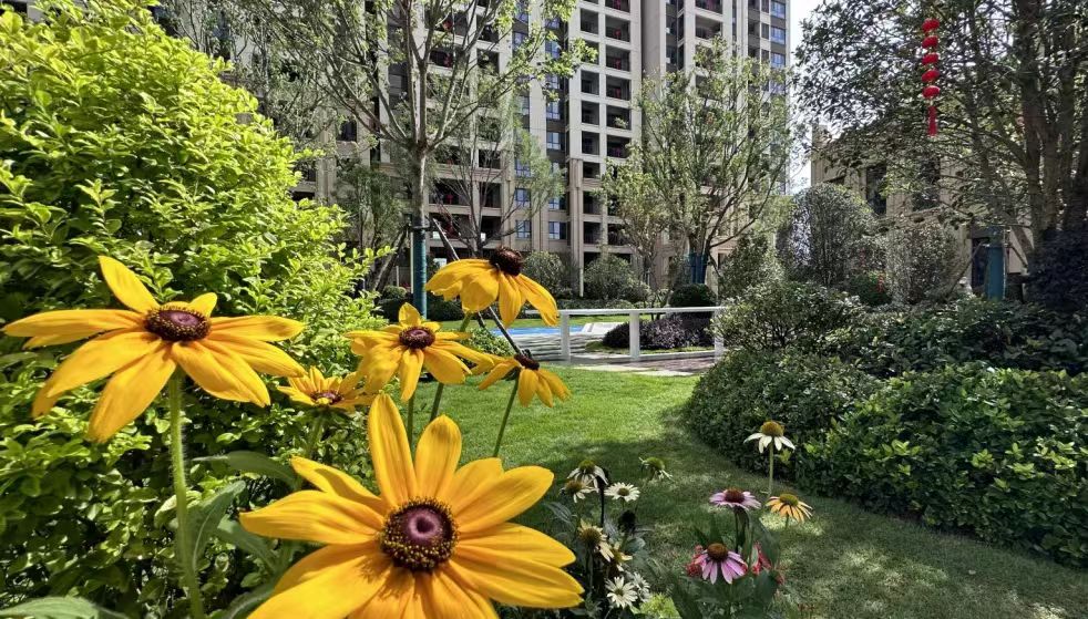 1691285793688424.jpg 微信图片_20230806093443.jpg