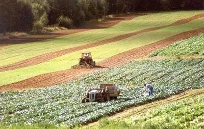 1692323105312668.jpg t01d937df64bcf10270.jpg