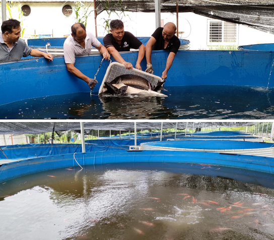 1692931592607538.png QQ图片20230825104445.png