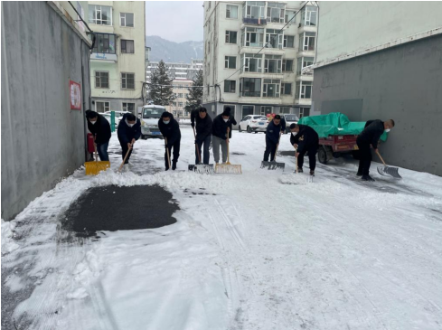 1701240443794498.jpg 1701240335472.jpg