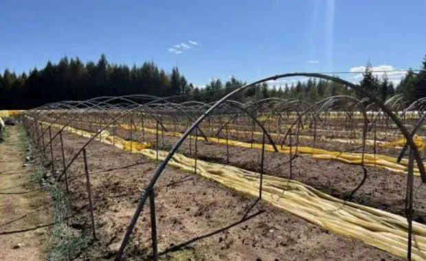 1722400359814945.png 5b53bcaf3572c7724352ca11e67177bf_b844c32f4ad8e1dbc3cbcd85474b2f3c.png