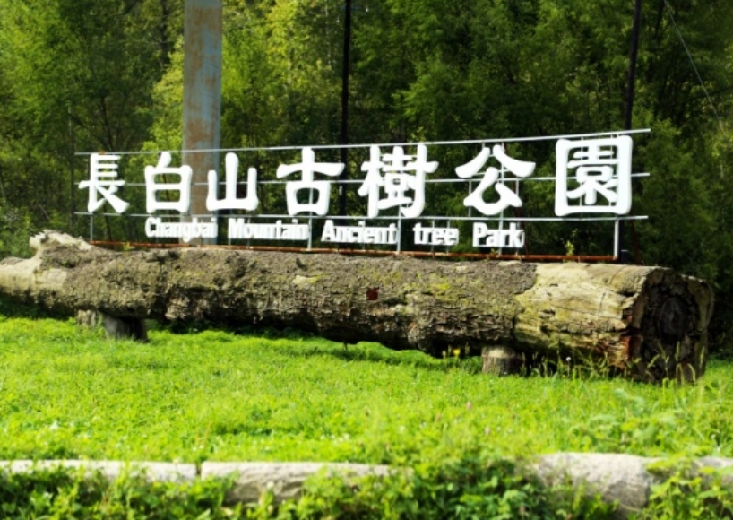 1727580848337343.png 16.png