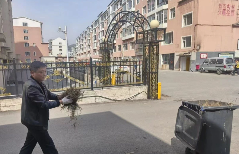 1733709135377181.png QQ图片20241209095120.png