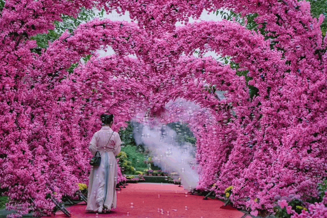 1737681009345618.gif 640.gif