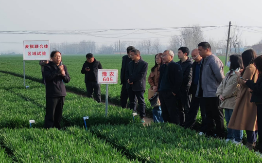 1741756703925780.png QQ图片20250312131753.png