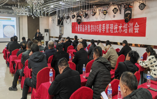 1741756713103569.png QQ图片20250312131335.png